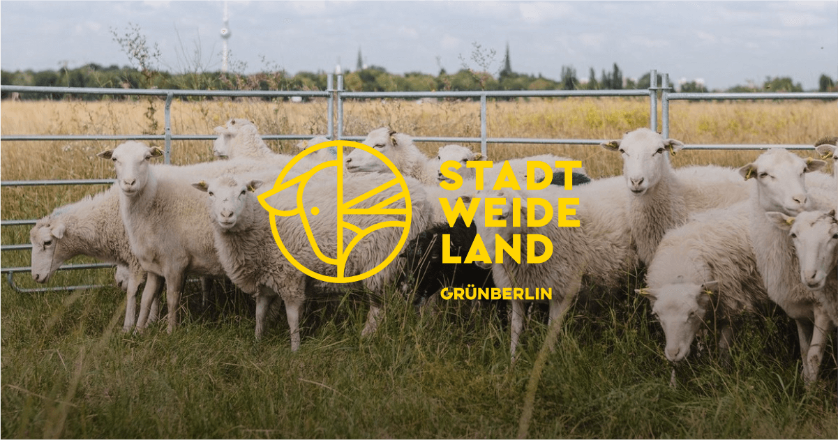 Stadt Weide Land project screenshot